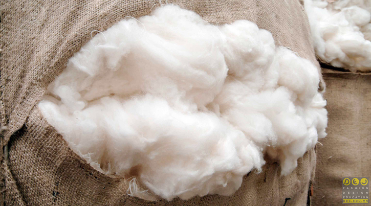 Tại sao vải cashmere lại đắt Tải sao vải cashmere lại đắt như vậy?