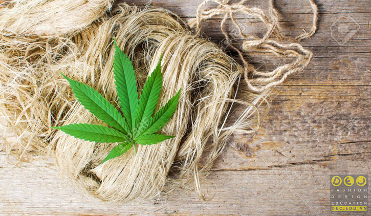 Thông tin về vải hemp