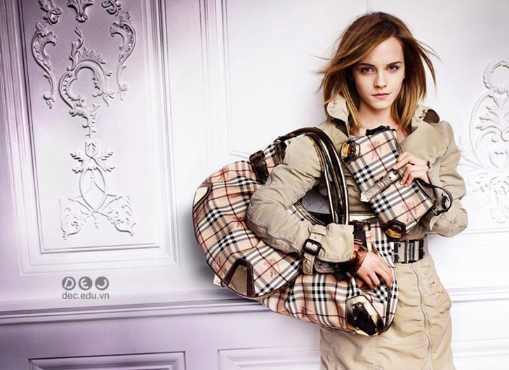 Giá trị thương hiệu và các dòng sản phẩm của Burberry