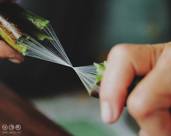 Vải lụa tơ sen