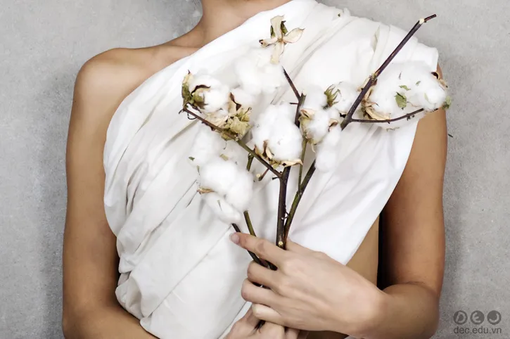 vai-cotton-huu-co_zpsfjm9koci.jpg