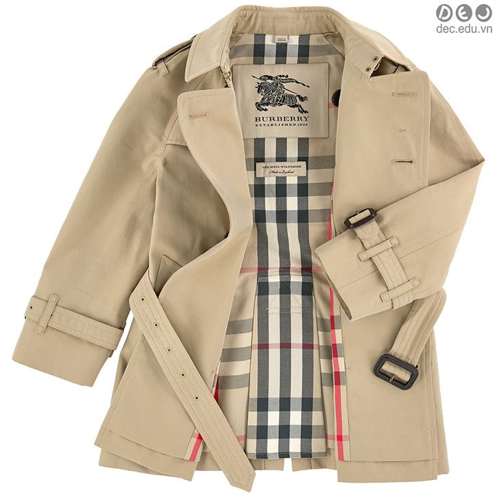 burberry 9_zpsbfuxqbay.jpg