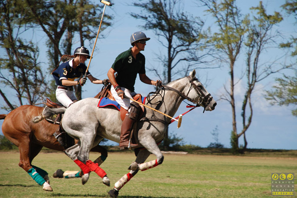 Áo Polo - Tìm hiểu về áo Polo DEC TEAM